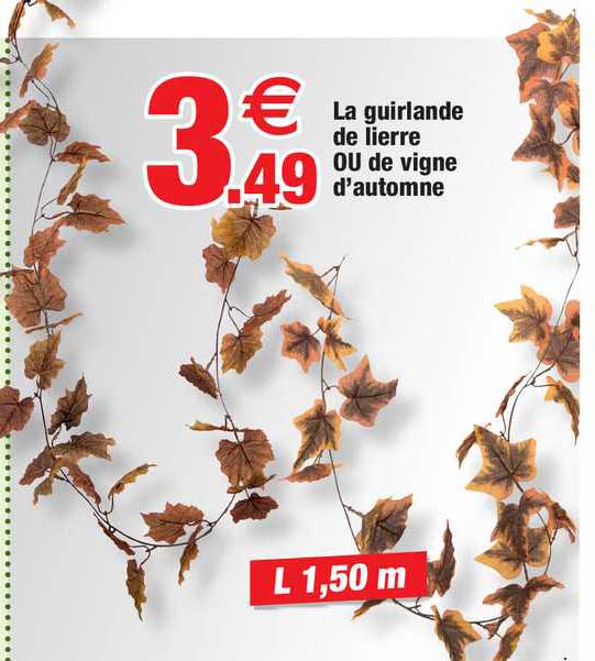 la guirlande de lierre ou de vigne d'automne