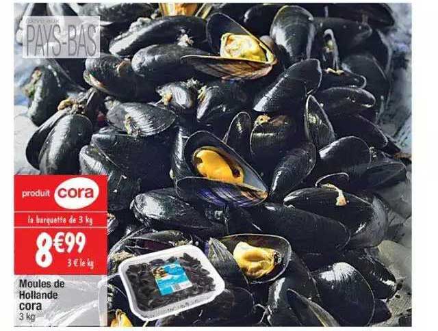 Moules De Holland Cora