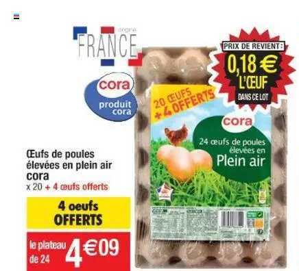 oeufs de poules élevées en plein air cora