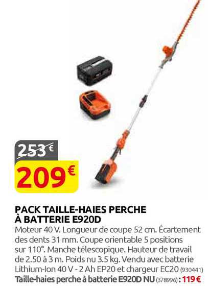 pack taille-haies perche à batterie e920d