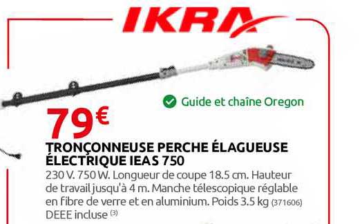 tronçonneuse perche élagueuse électrique ieas 750 ikra