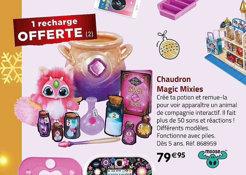 chaudron magic mixies moose