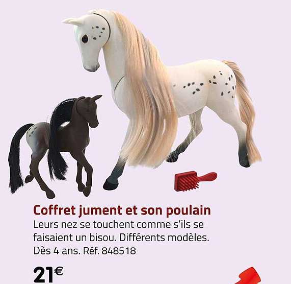 coffret jument et son poulain