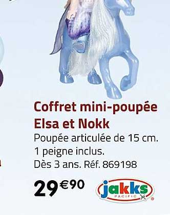 coffret mini-poupée elsa et nokk