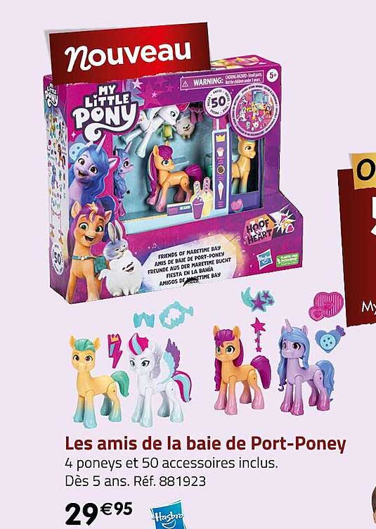 les amis de la baie de port-poney