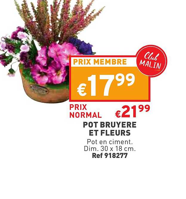 Pot Bruyère Et Fleurs