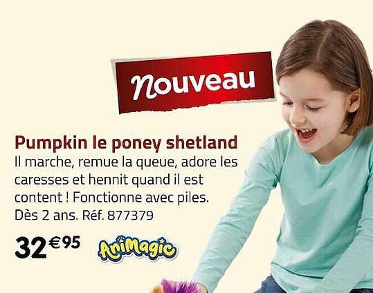 pumpkin le poney shetland animagic