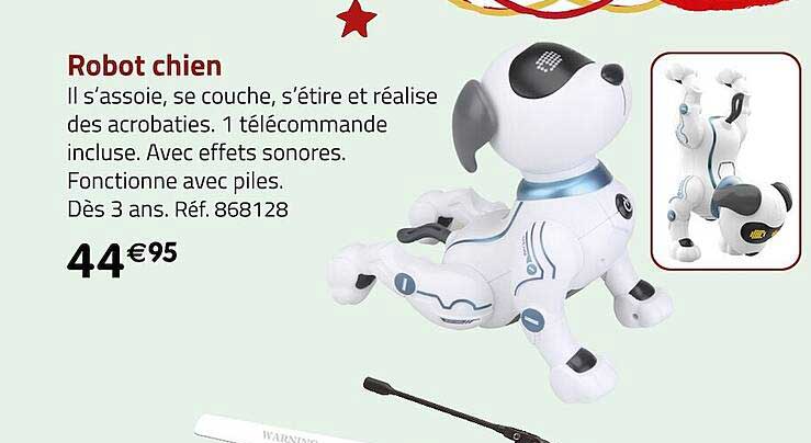 Robot Chien