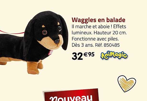 waggles en balade animagic