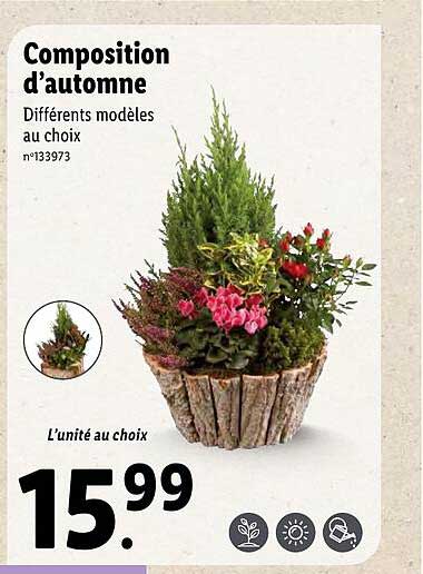 composition d'automne