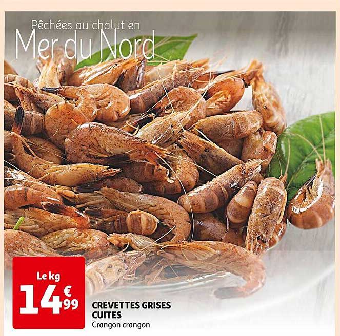 Crevettes Grises Cuites