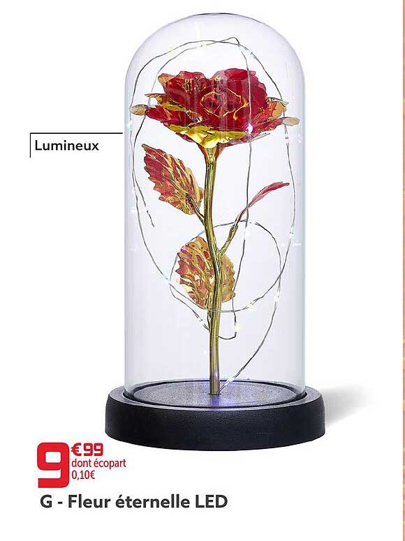 Fleur éternelle Led