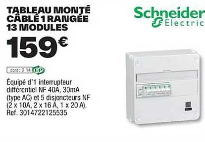 tableau monté câblé 1 rangée 13 modules schneider electric
