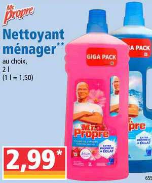 Nettoyant Ménager Mr Propre
