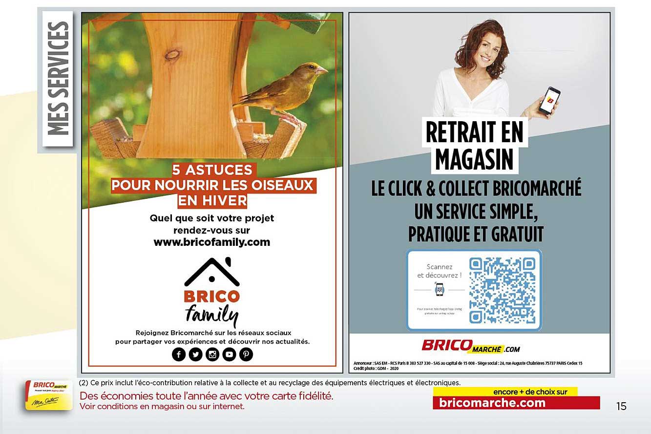 5 astuces pour nourrir les oiseaux en hiver