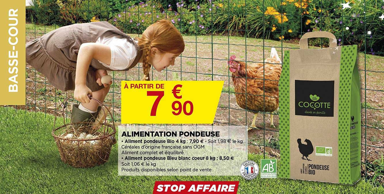 alimentation pondeuse cocotte