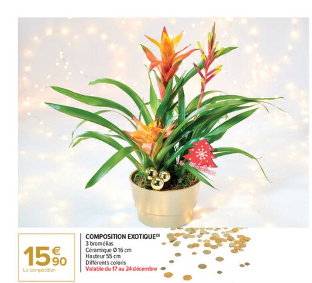 Composition Exotique