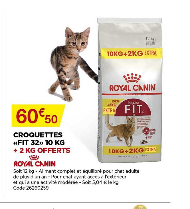 croquettes «fit 32» 10 kg royal canin