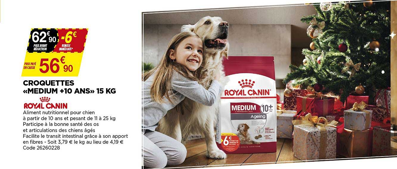 croquettes «medium +10 ans» 15 kg royal canin