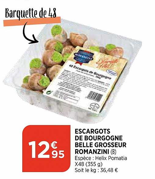 escargots de bourgogne belle grosseur romanzini