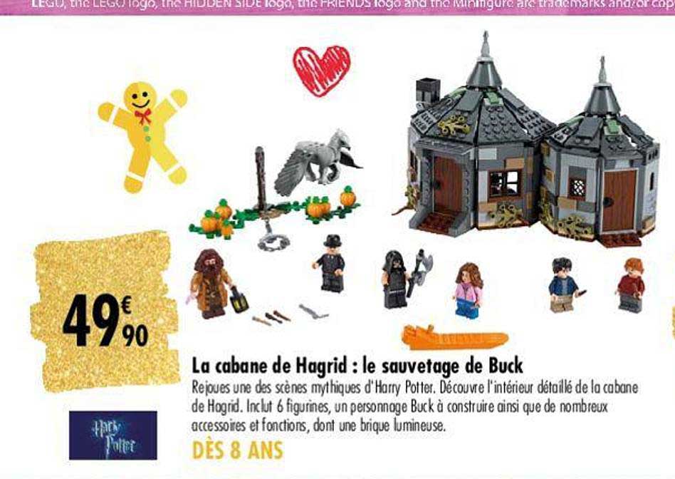 la cabane de hagrid : le sauvetage de buck