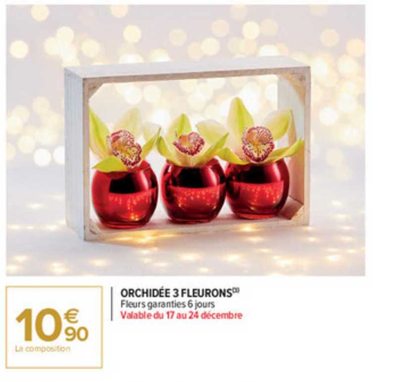 orchidée 3 fleurons