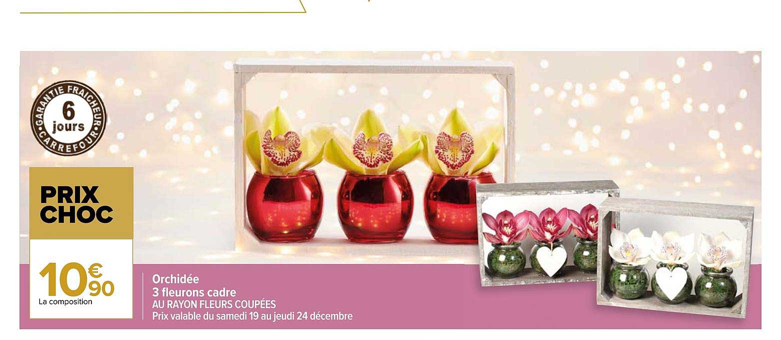 orchidée 3 fleurons cadre