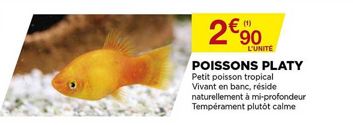 poissons platy