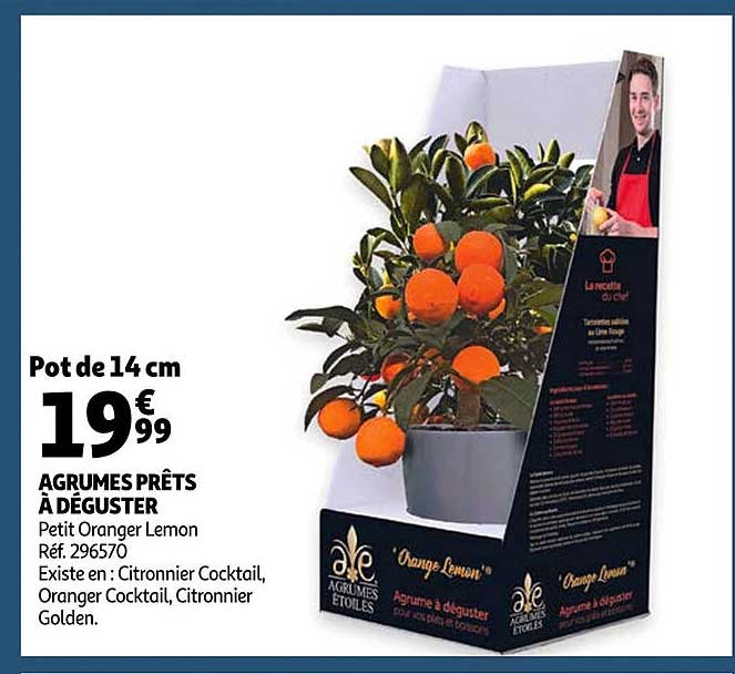 agrumes prêts à déguster