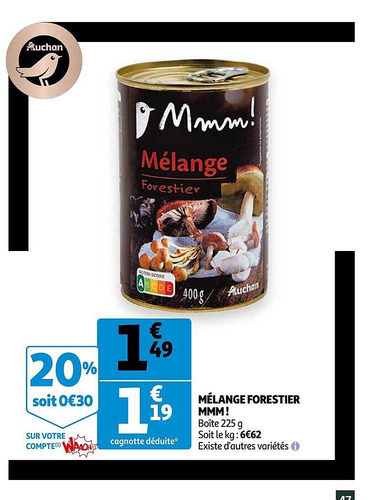 mélange forestier mmm !