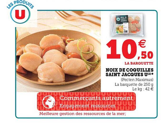 noix de coquilles saint jacques u