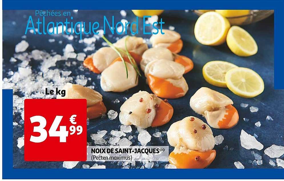 noix de saint-jacques