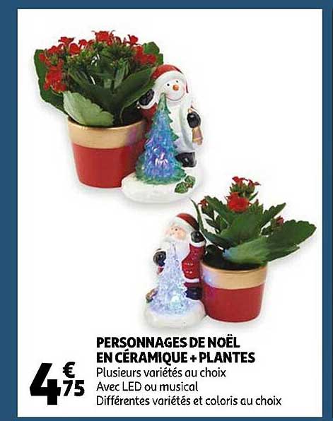 personnages de noël en céramique + plantes