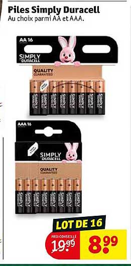 piles simply duracell au choix parmi aa et aaa