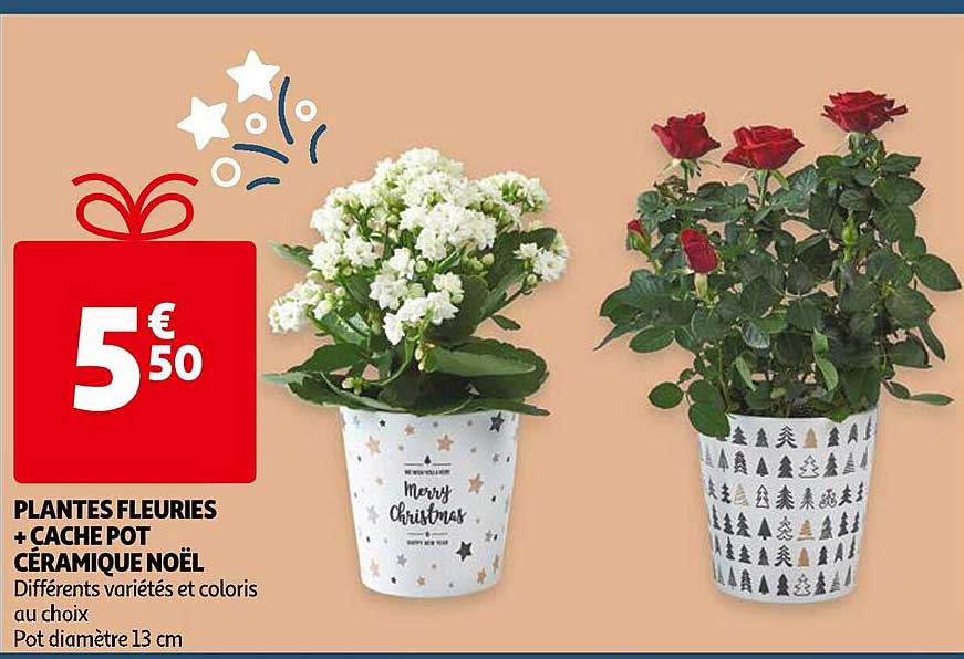 plantes fleuries + cache pot céramique noël
