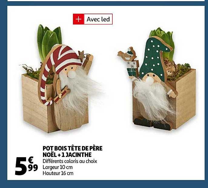 pot bois tête de père noël + 1 jacinth