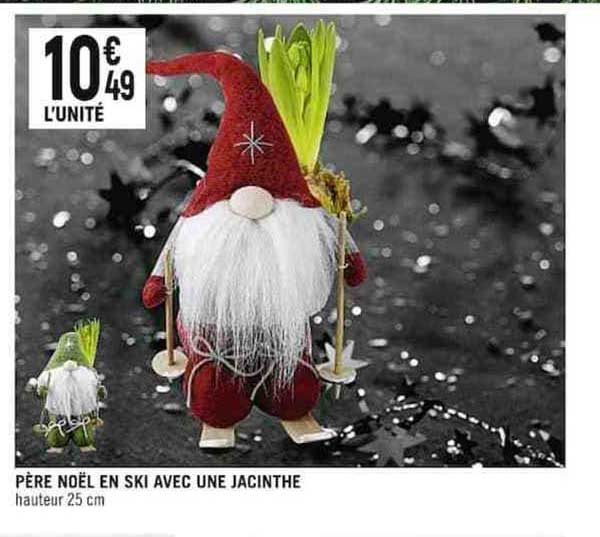 père noël en ski avec une jacinthe