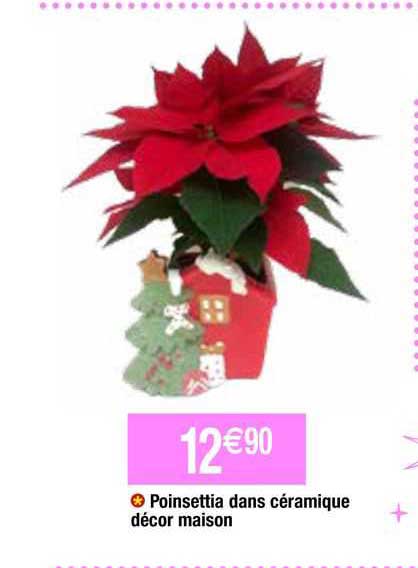 poinsettia dans céramique décor maison