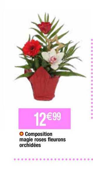 composition magie roses fleurons orchidées