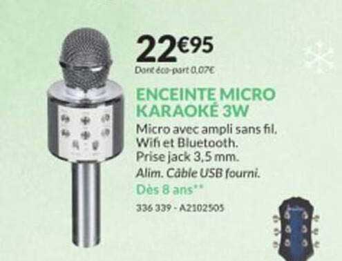 Enceinte Micro Karaoke 3w