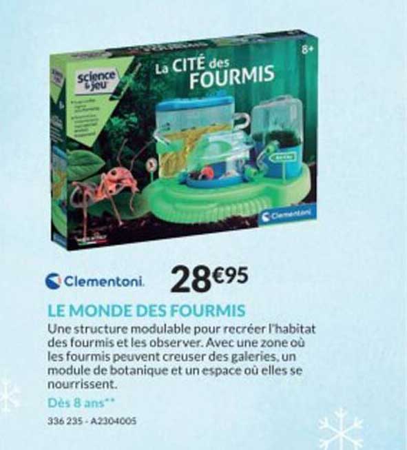 le monde des fourmis