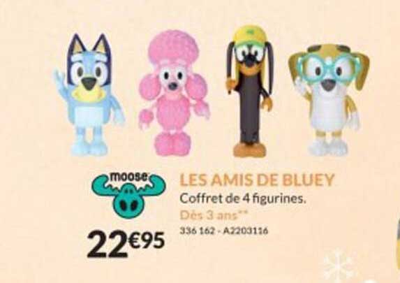 les amis de bluey moose