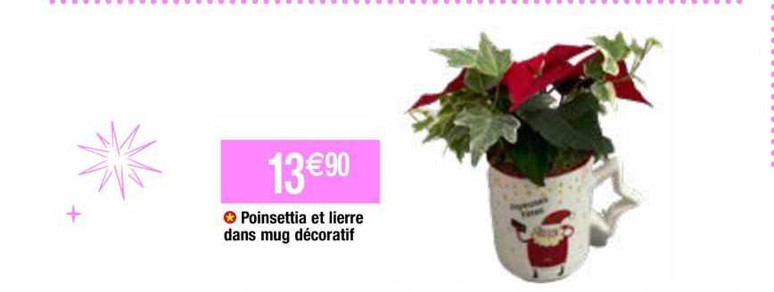 poinsettia et lierre dans mug décoratif
