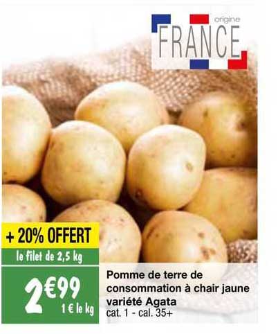 Pomme De Terre De Consommation à Chair Ferme Variété Agata