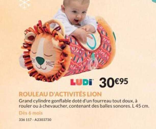 Rouleau D'activites Lion