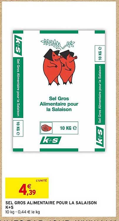 sel gros alimentaire pour la salaison k+s