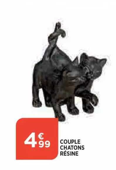 couple chatons résine