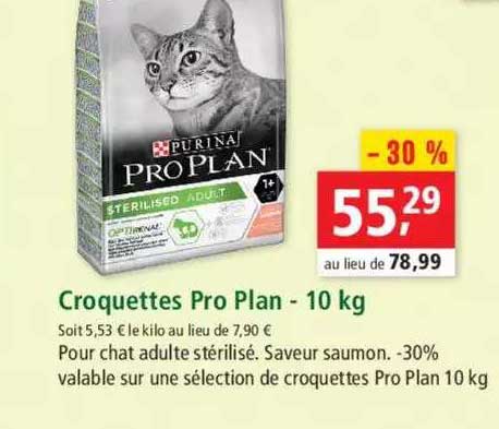Croquettes Pro Plan - 10 Kg