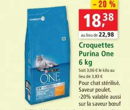 Croquettes Purina One 5 Kg