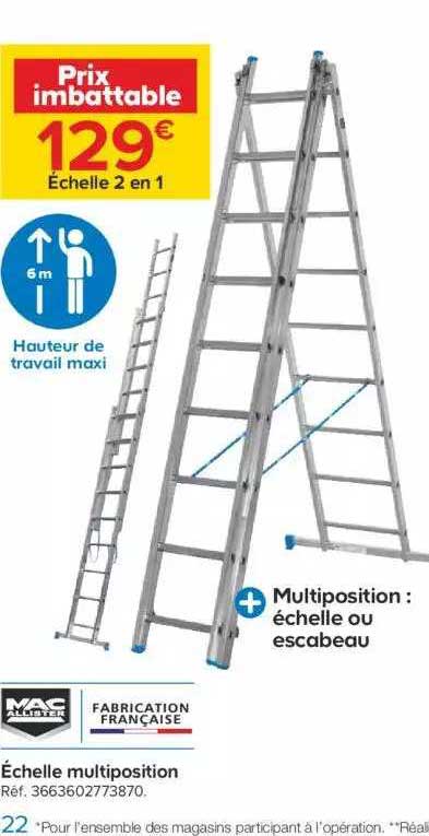 échelle multiposition mac allister